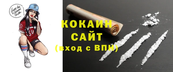 индика Слюдянка
