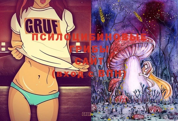 стафф Аркадак