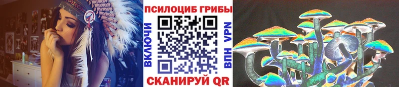 Псилоцибиновые грибы Psilocybe цены Краснотурьинск