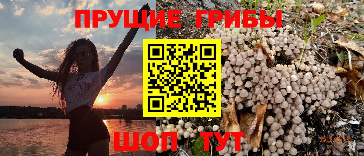 Галлюциногенные грибы GOLDEN TEACHER Краснотурьинск