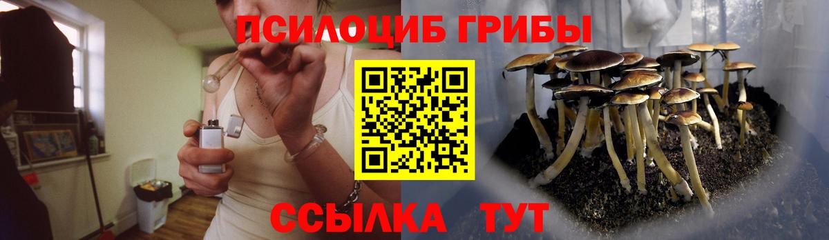 Псилоцибиновые грибы мицелий  Вход с VPN  Галлюциногенные грибы GOLDEN TEACHER  Краснотурьинск 